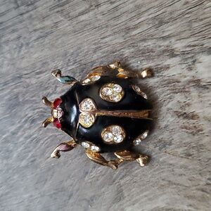🆕 Black and gold beetle brooch
